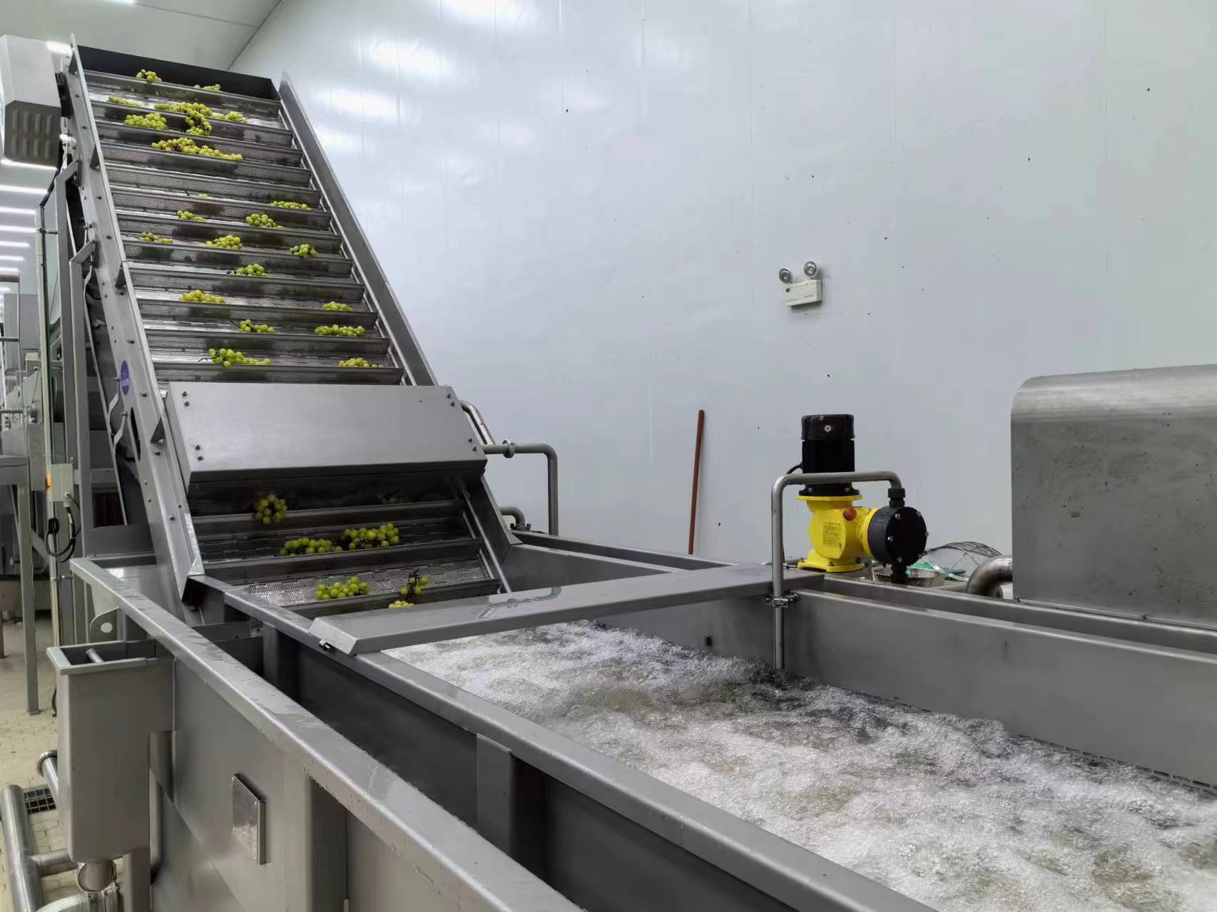 1729472965638910.jpg 洋河8.jpg